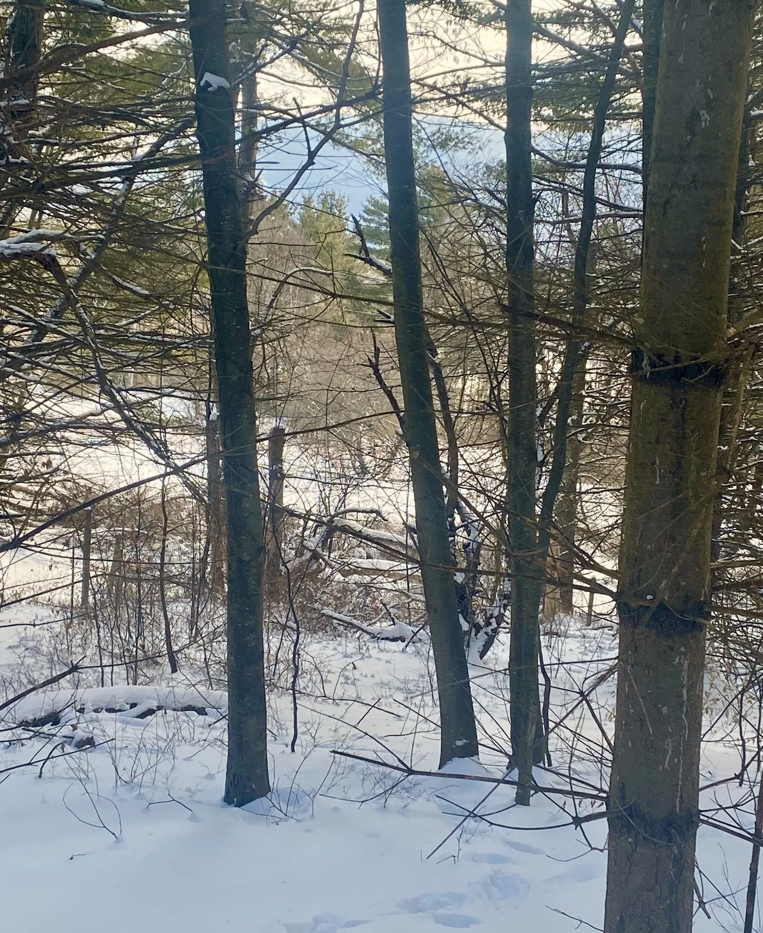 90 Vt Route 140 Tinmouth VT 05773