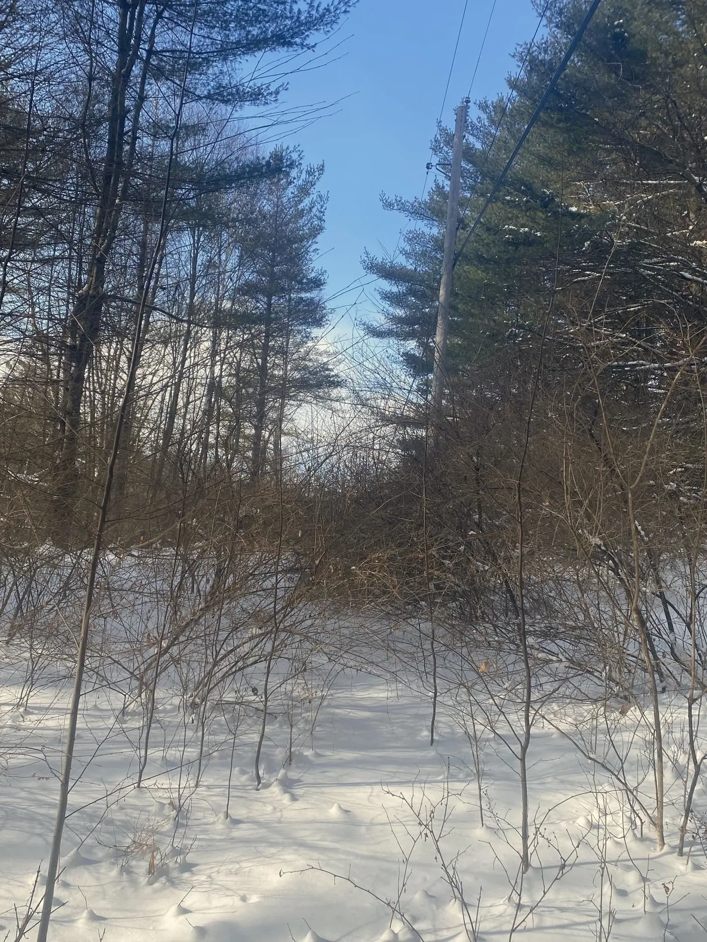 90 Vt Route 140 Tinmouth VT 05773