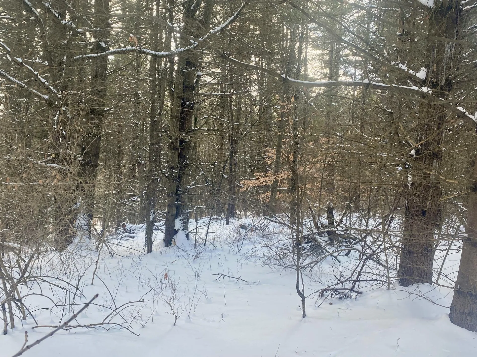 90 Vt Route 140 Tinmouth VT 05773