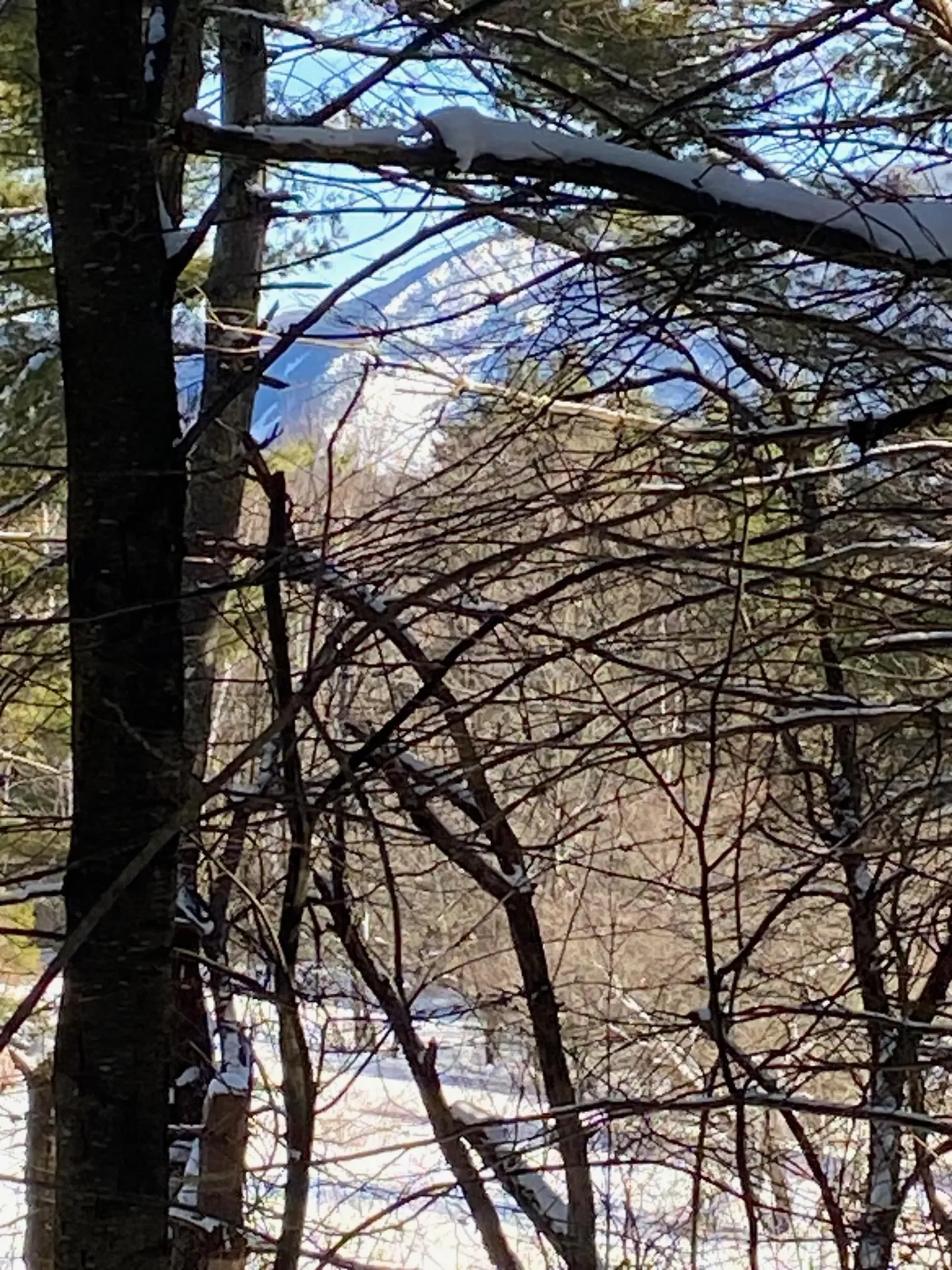 90 Vt Route 140 Tinmouth VT 05773