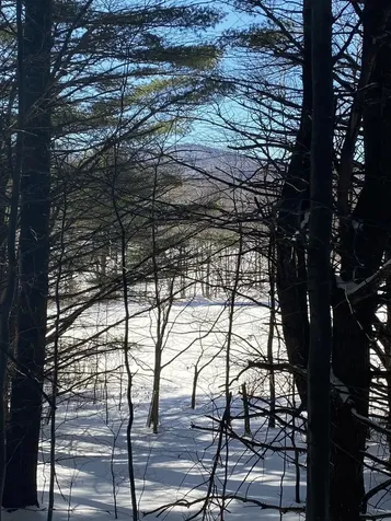 90 Vt Route 140 Tinmouth VT 05773