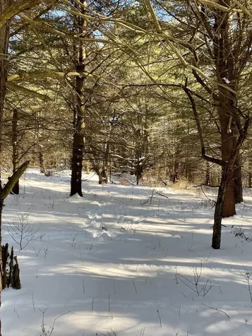 90 Vt Route 140 Tinmouth VT 05773