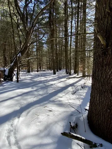 90 Vt Route 140 Tinmouth VT 05773