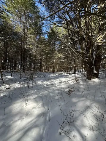 90 Vt Route 140 Tinmouth VT 05773