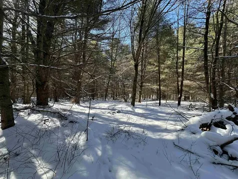 90 Vt Route 140 Tinmouth VT 05773