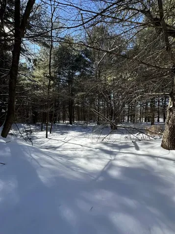 90 Vt Route 140 Tinmouth VT 05773