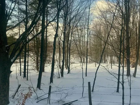 90 Vt Route 140 Tinmouth VT 05773