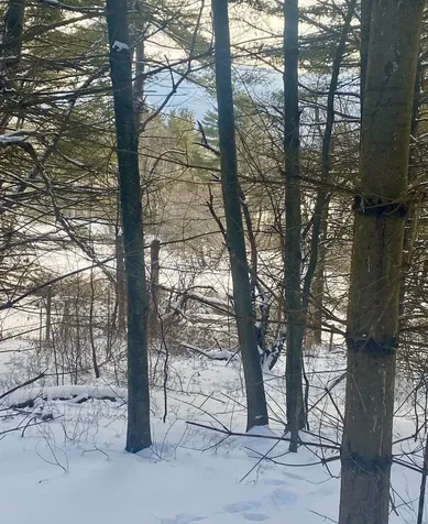 90 Vt Route 140 Tinmouth VT 05773