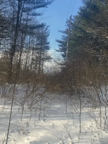 90 Vt Route 140 Tinmouth VT 05773