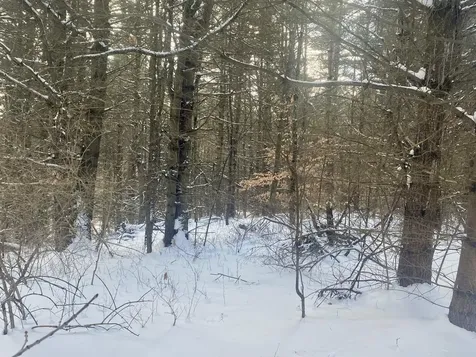 90 Vt Route 140 Tinmouth VT 05773