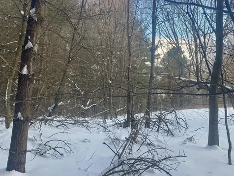 90 Vt Route 140 Tinmouth VT 05773