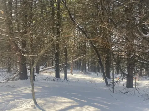 90 Vt Route 140 Tinmouth VT 05773