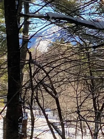 90 Vt Route 140 Tinmouth VT 05773