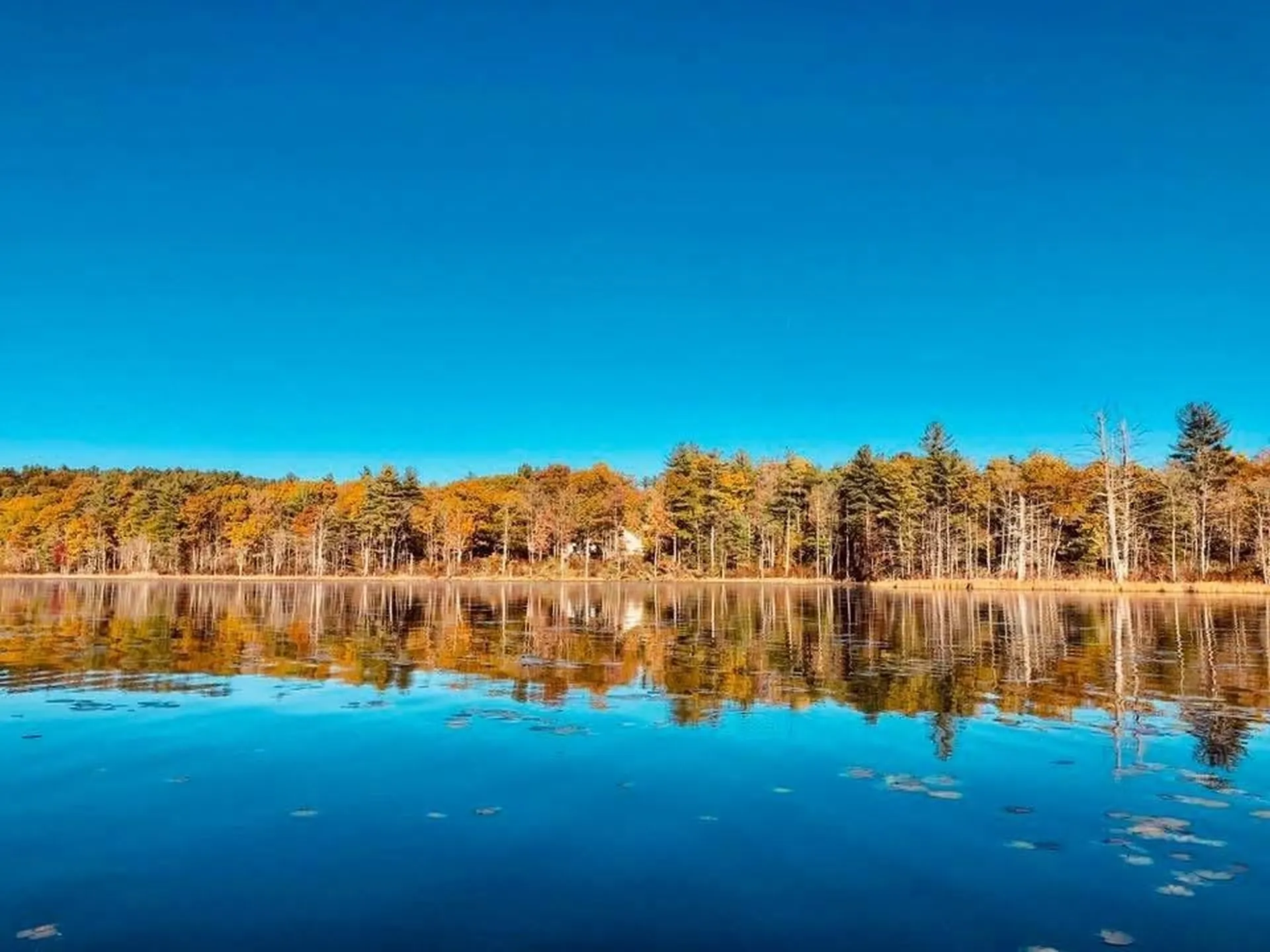 30 Mill Stone Terrace Bedford NH 03110