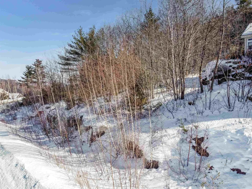 1 Lilac Lane Campton NH 03223