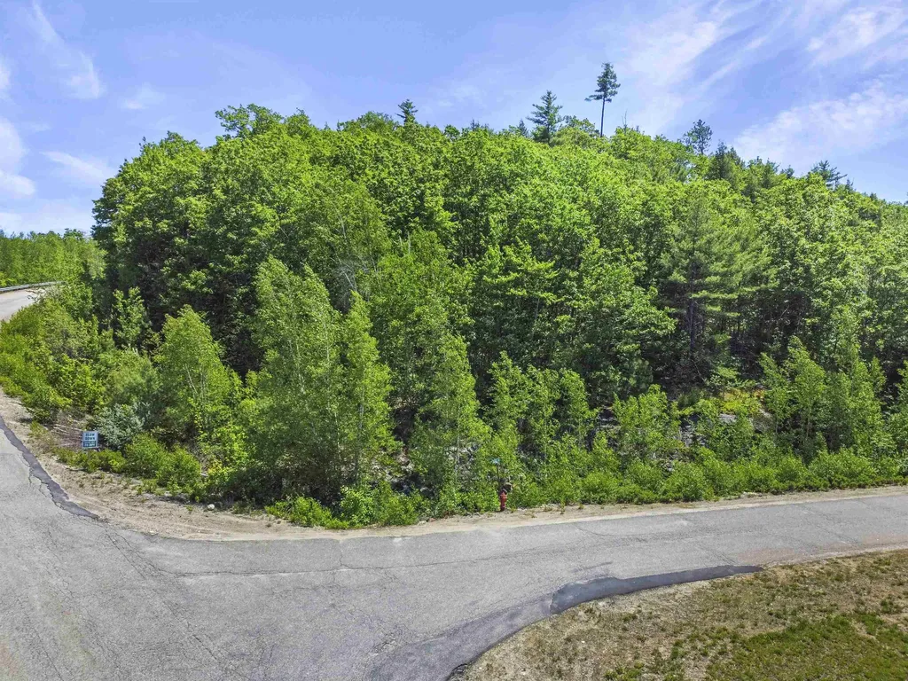 1 Lilac Lane Campton NH 03223