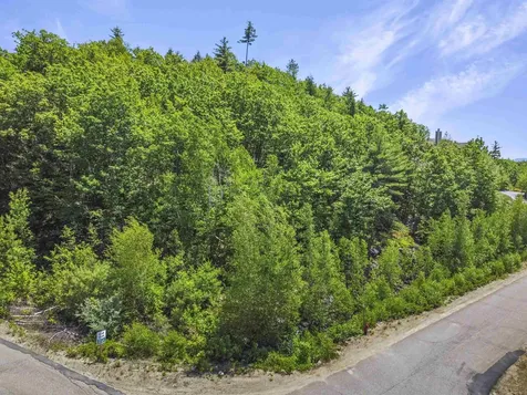 1 Lilac Lane Campton NH 03223