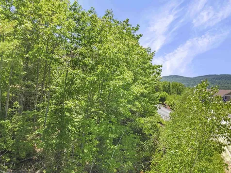 1 Lilac Lane Campton NH 03223