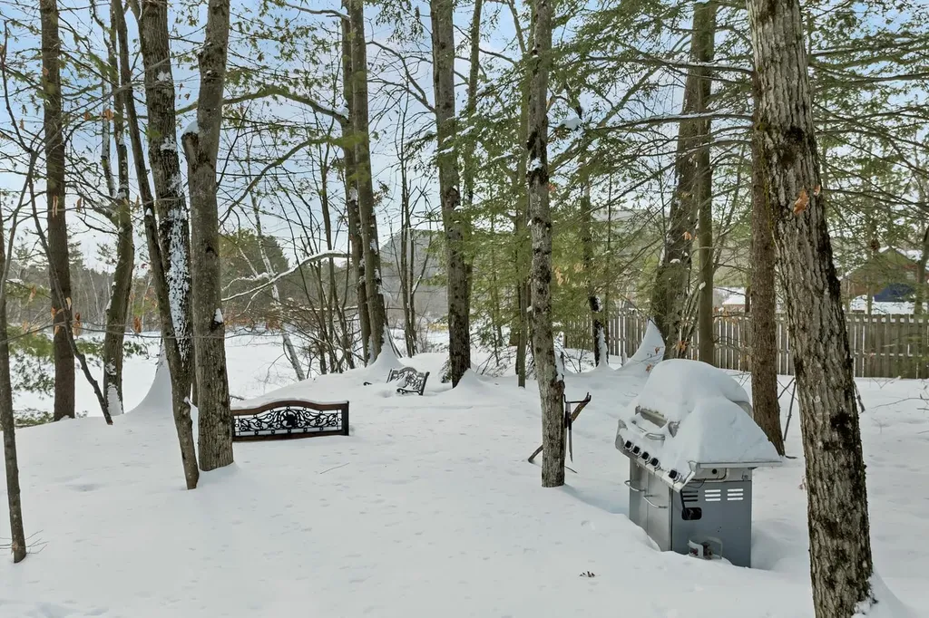 20 Crossing Drive Woodstock NH 03262