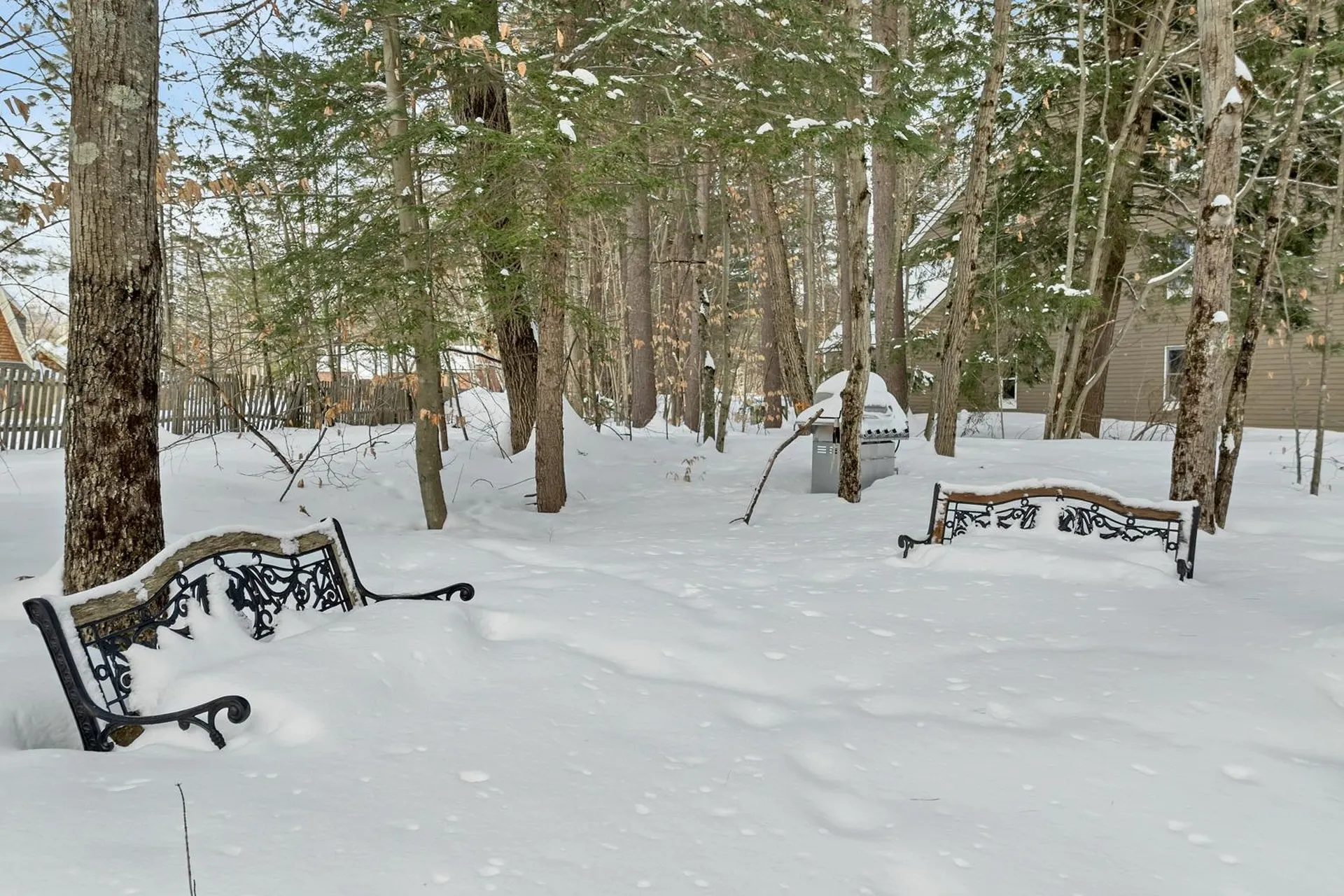 20 Crossing Drive Woodstock NH 03262