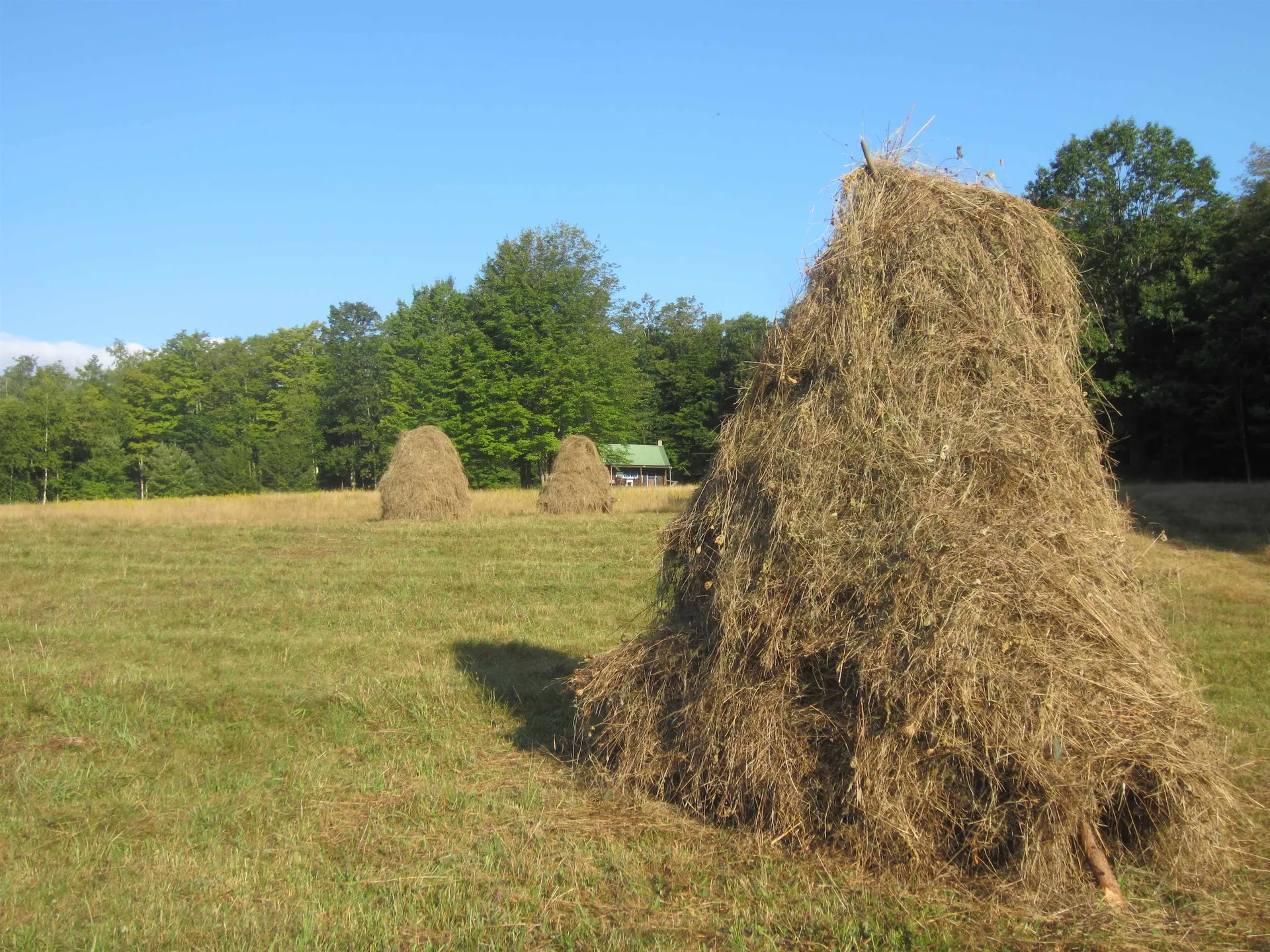 1607 Massey Road Springfield VT 05156