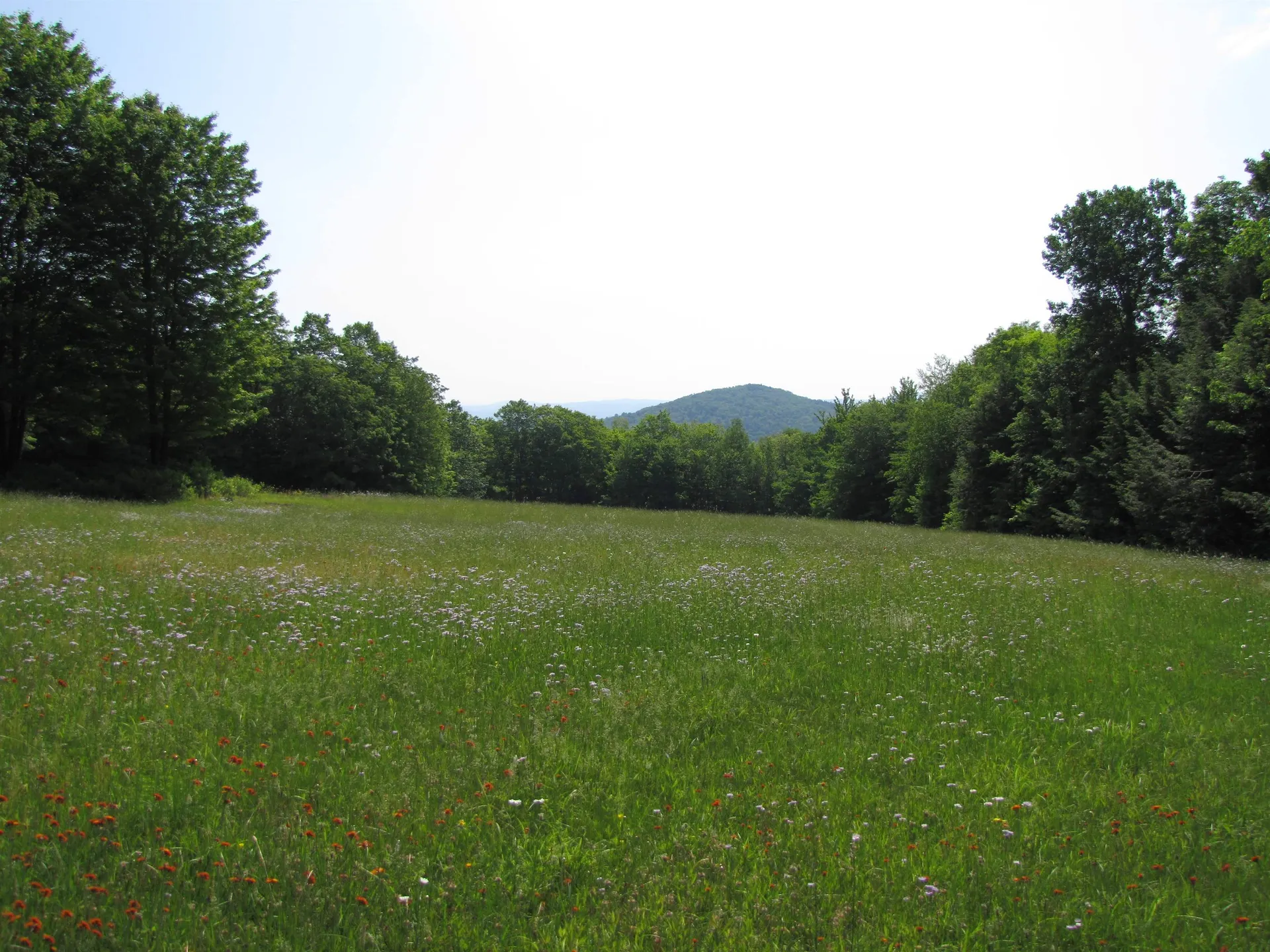 1607 Massey Road Springfield VT 05156