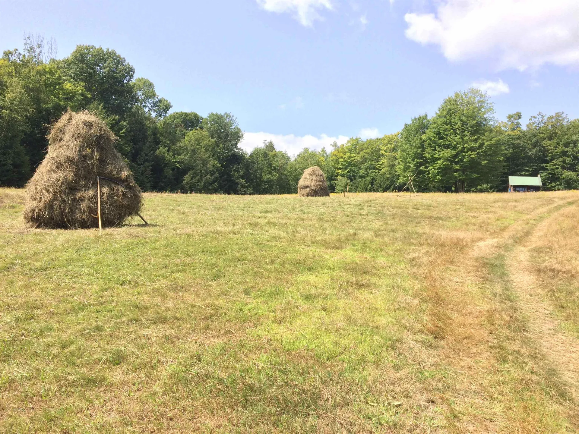 1607 Massey Road Springfield VT 05156