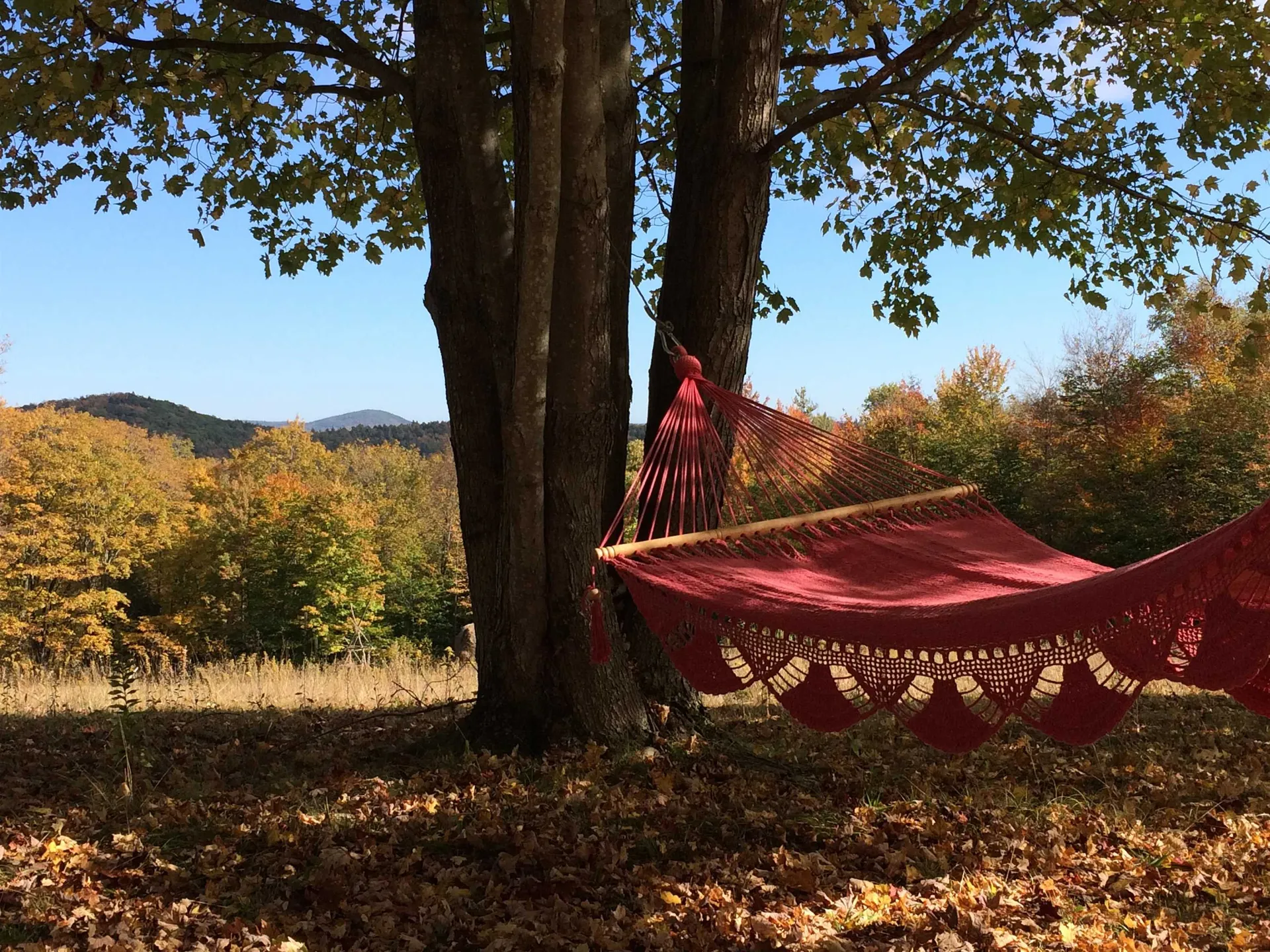 1607 Massey Road Springfield VT 05156