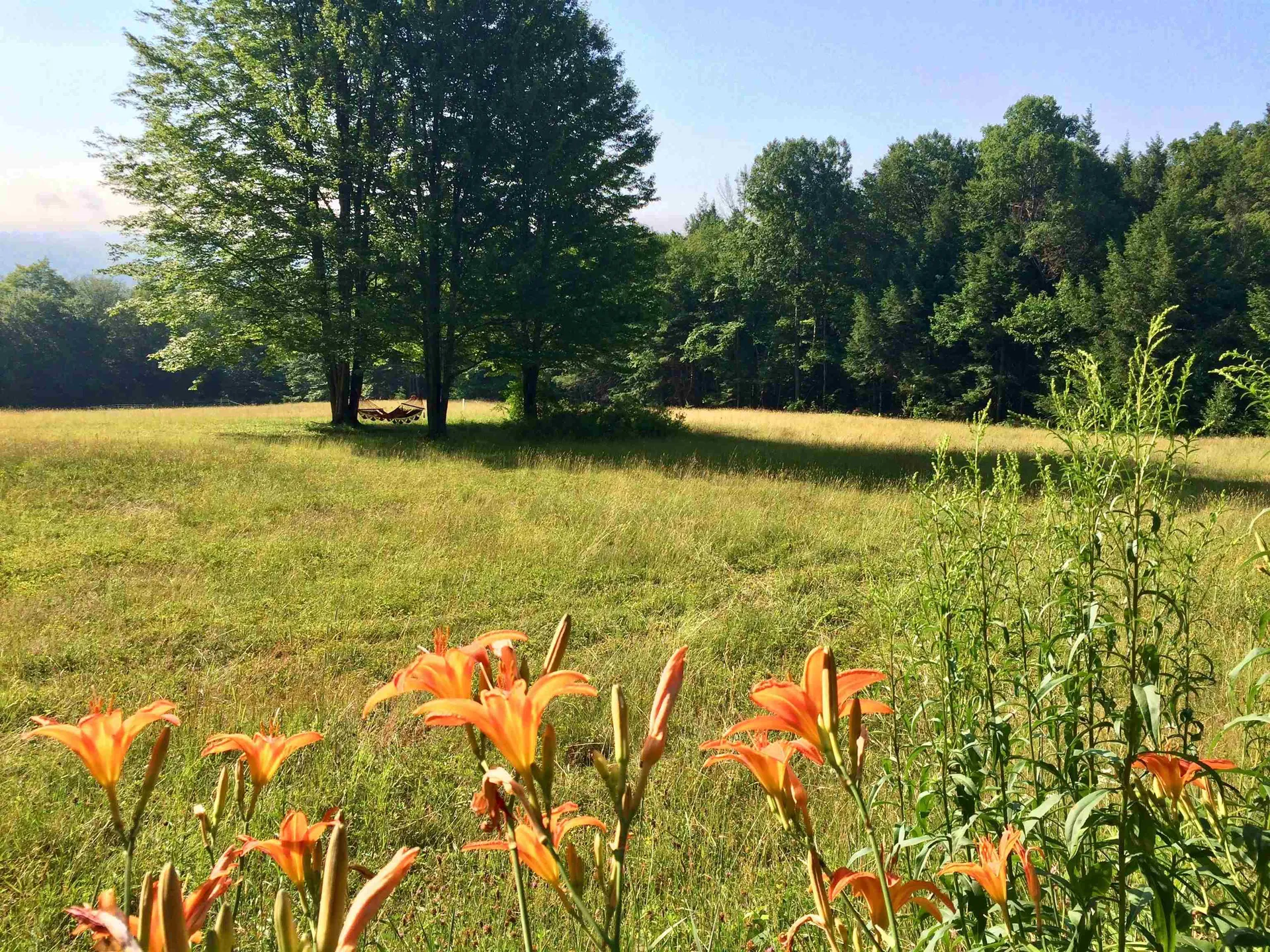 1607 Massey Road Springfield VT 05156