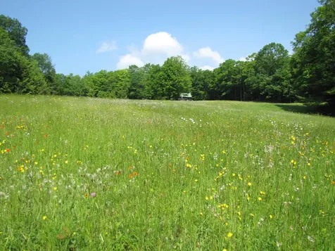 1607 Massey Road Springfield VT 05156