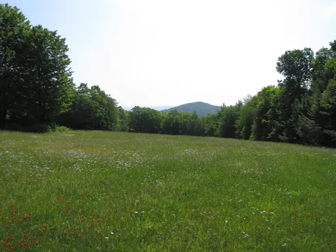 1607 Massey Road Springfield VT 05156