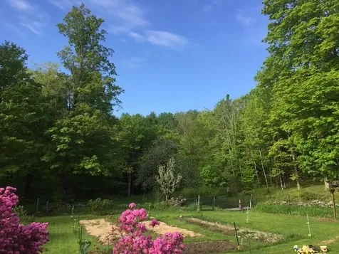 1607 Massey Road Springfield VT 05156