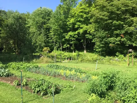 1607 Massey Road Springfield VT 05156