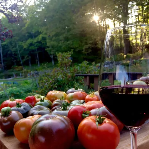 1607 Massey Road Springfield VT 05156