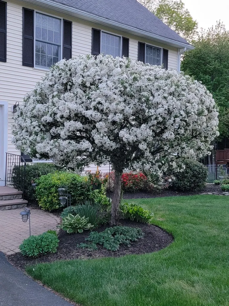 19 Alder Creek Lane Rochester NH 03868