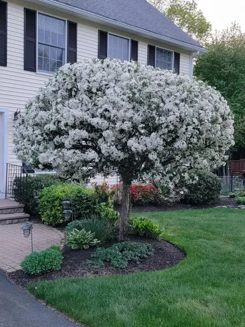 19 Alder Creek Lane Rochester NH 03868