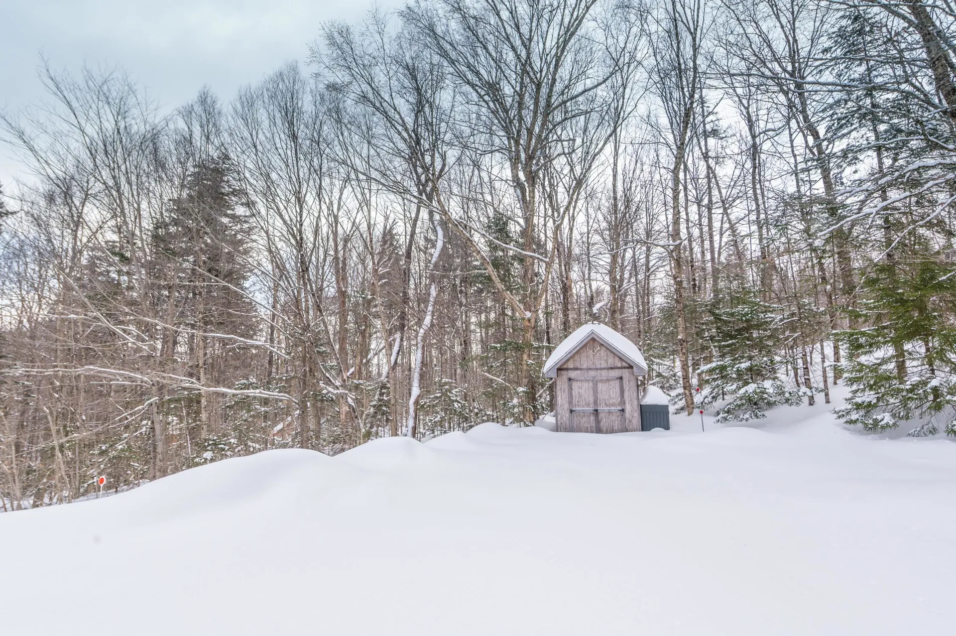 68 Ellis Brook Road Dover VT 05356