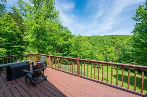 68 Ellis Brook Road Dover VT 05356