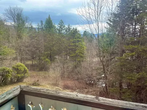 69 Park Street Westfield VT 05859