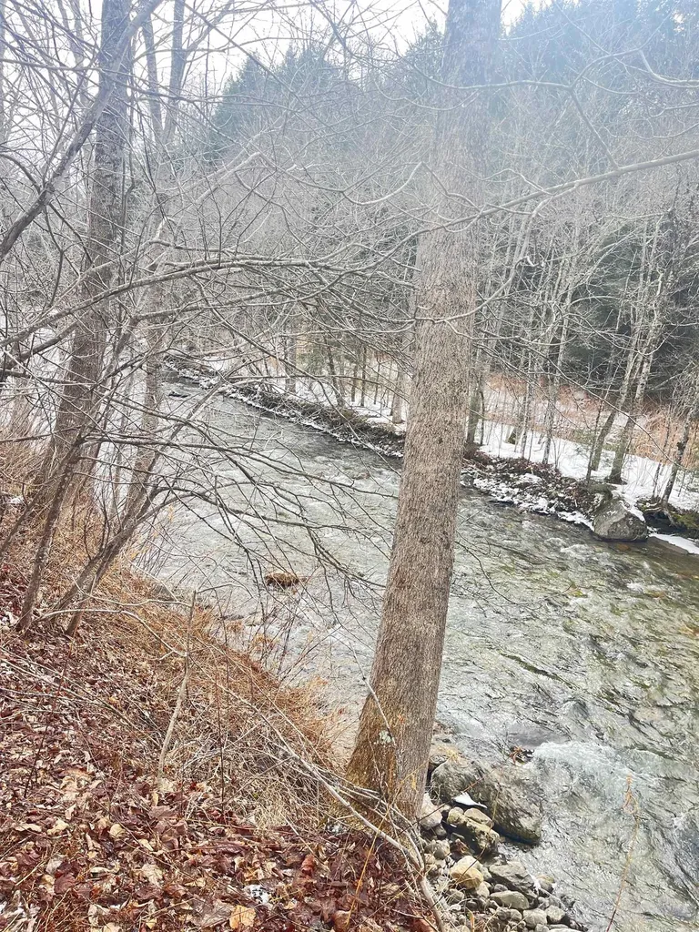 1726 West River Road Lincoln VT 05443