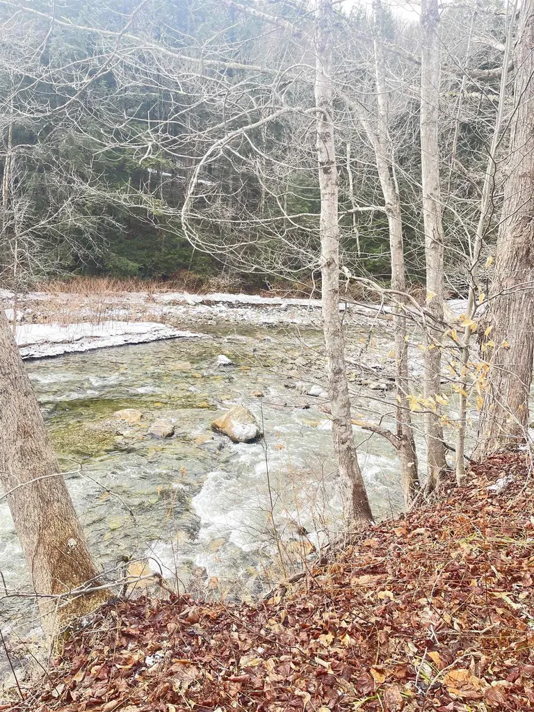 1726 West River Road Lincoln VT 05443