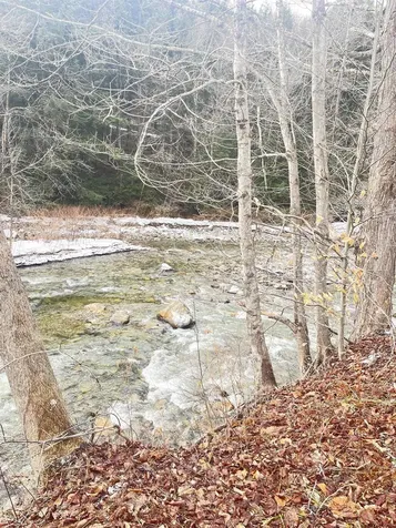 1726 West River Road Lincoln VT 05443