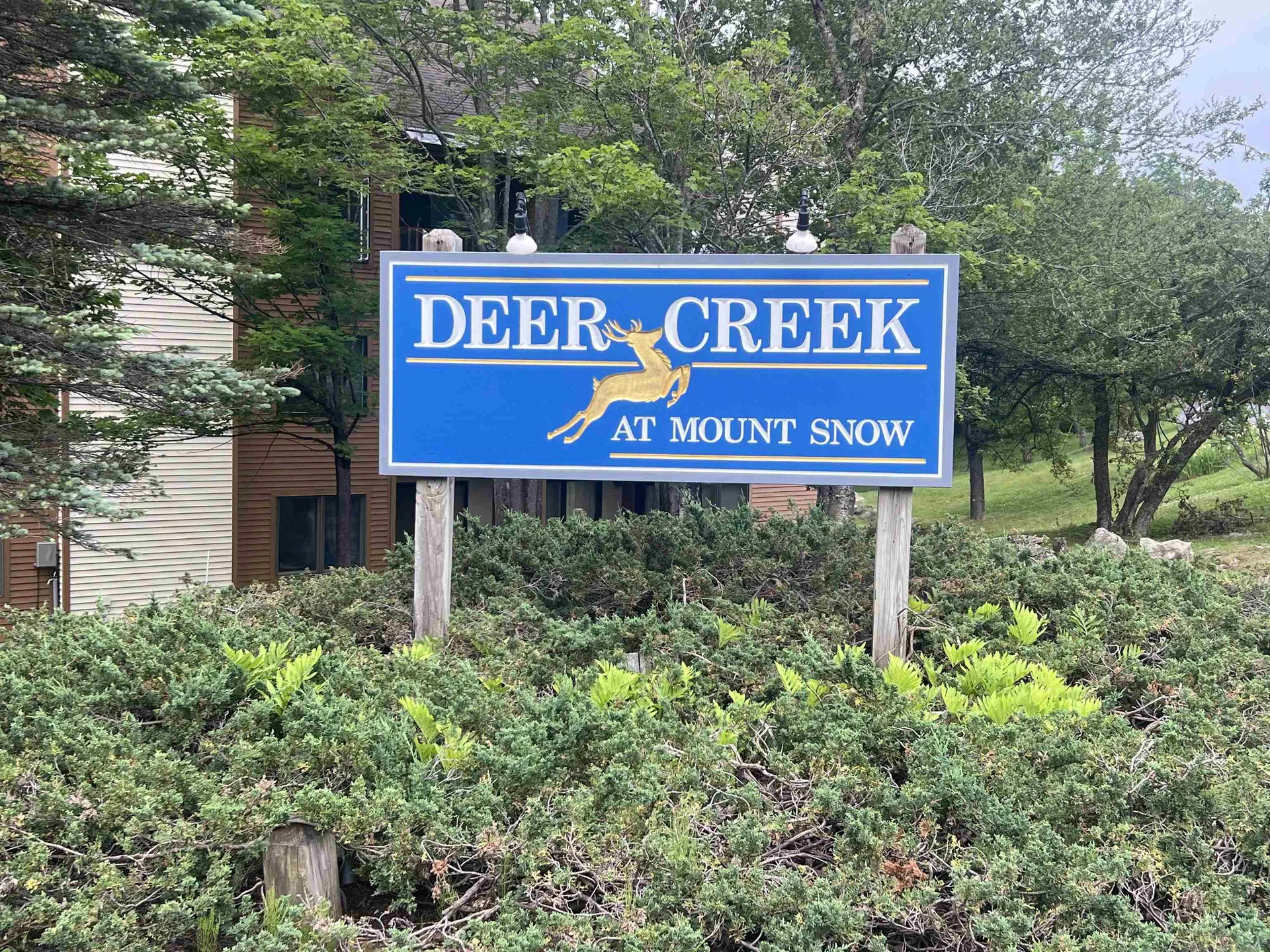 8B Deer Creek Dover VT 05356