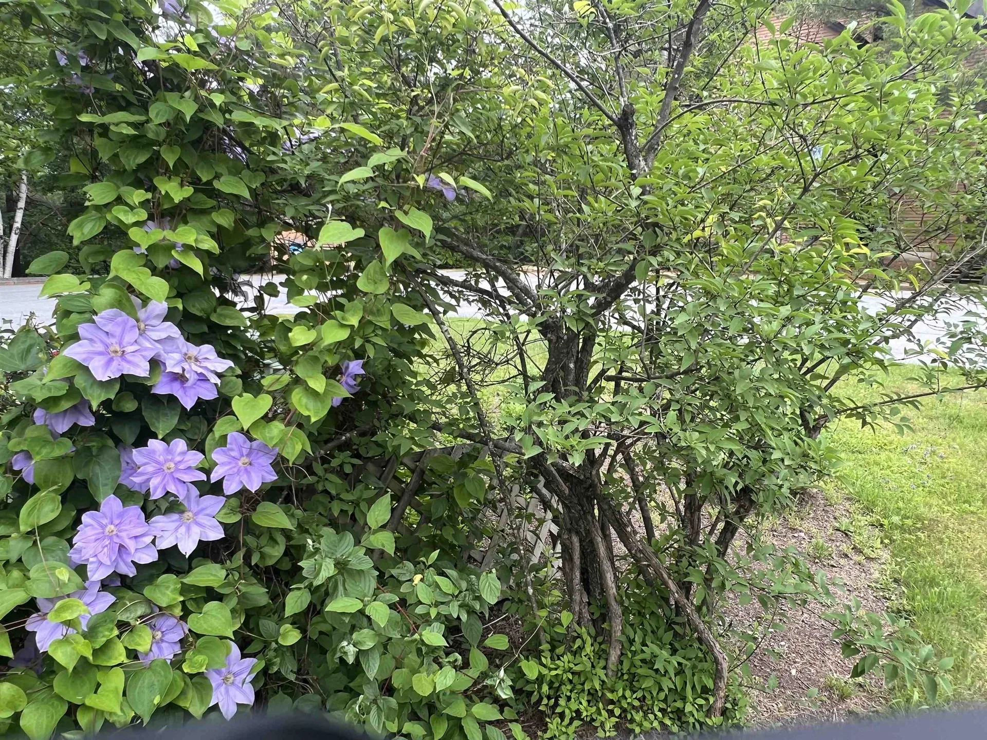 8B Deer Creek Dover VT 05356