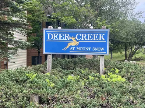 8B Deer Creek Dover VT 05356