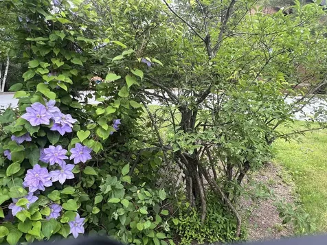 8B Deer Creek Dover VT 05356