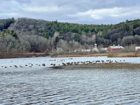 214 Putney Road Brattleboro VT 05301