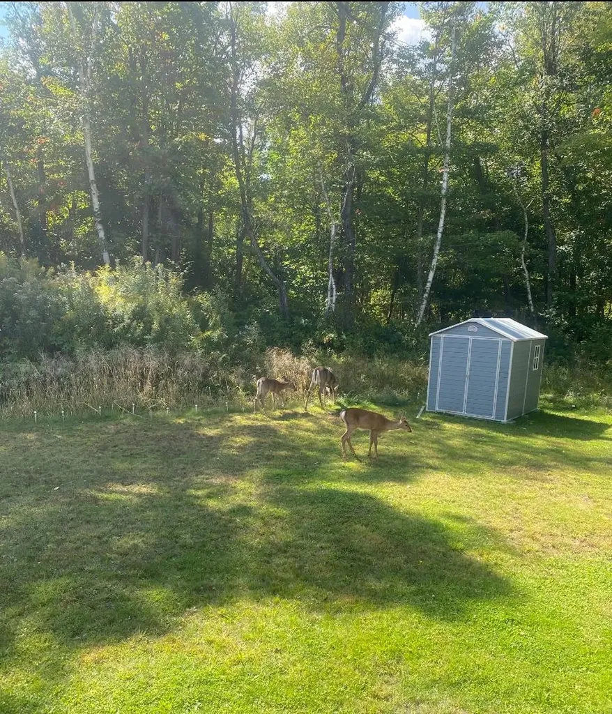 106 Pershing Avenue Berlin NH 03570