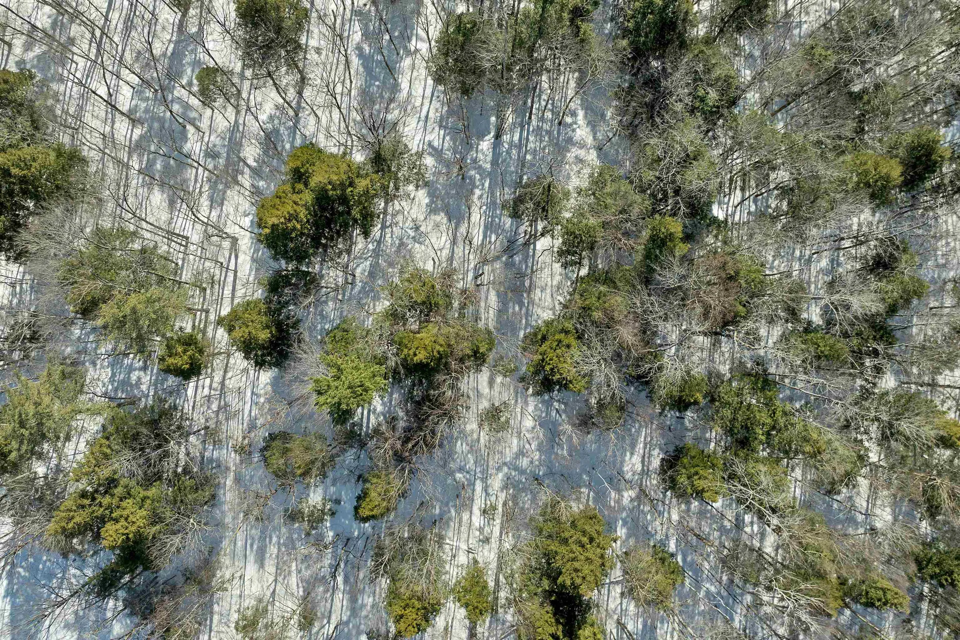 13-1 Page Road Campton NH 03223