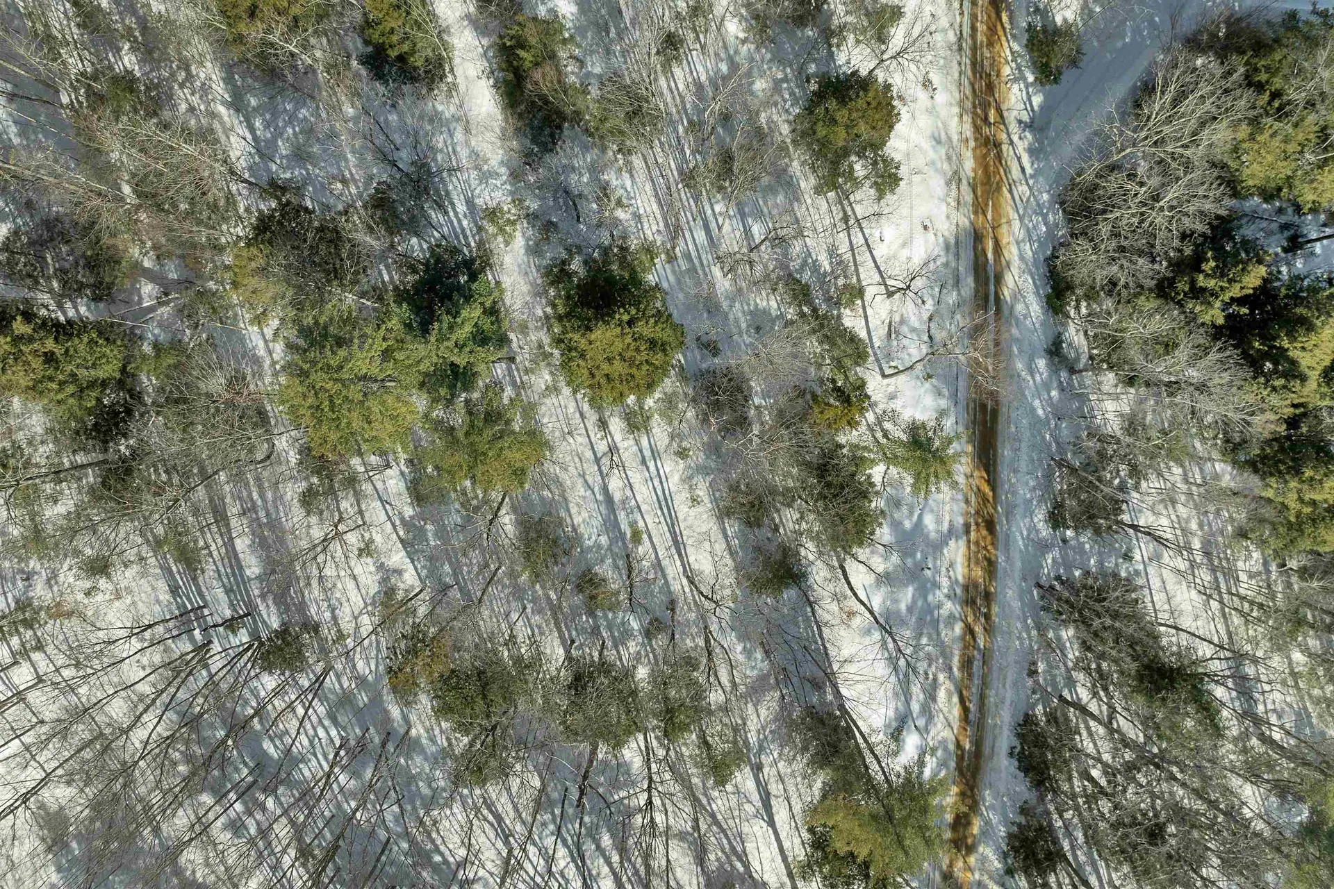 13-1 Page Road Campton NH 03223